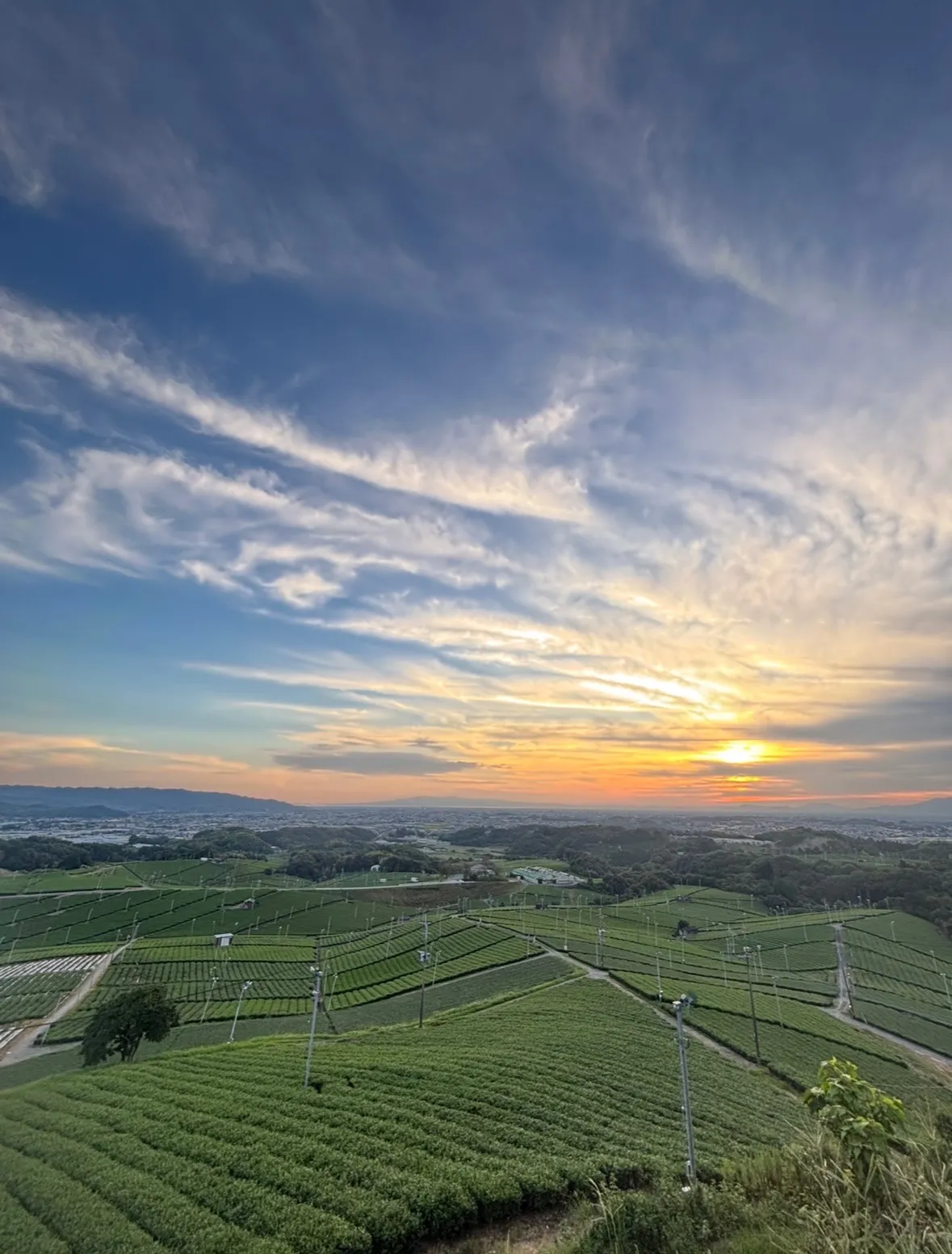 10月スタート！！