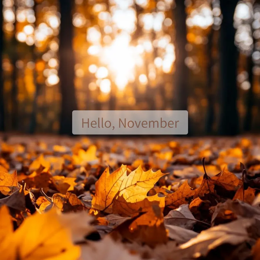 11月の冷え込みに癒しを